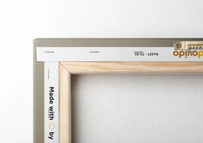 Quadro su tela – Macro soffione su sfondo