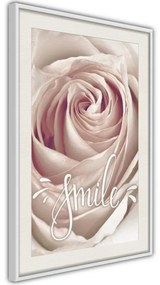 Poster  Rose with a Message  Cornice Quadri Cornice nera con pass-partout, Larghezza x Altezza Home decor 40x60