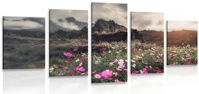 Quadri 5 pezzi – Prato di fiori in fiore