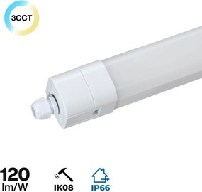 Plafoniera LED Stagna 150cm 48W 120lm/w IK08 IP66 CCT Colore Bianco Variabile CCT