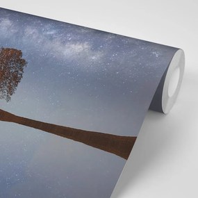 Carta da parati autoadesiva – Cielo stellato sopra l'albero solitario