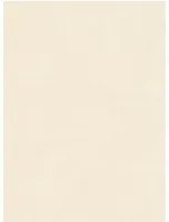 Arte International Carta da parati Tulle - Cream
