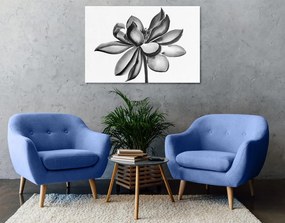 Quadro su tela – Fiore di loto acquerellato in bianco e nero