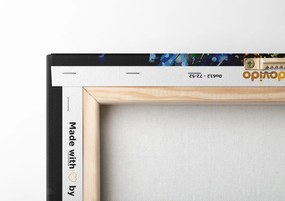 Stampa su tela – Farfalla straordinaria