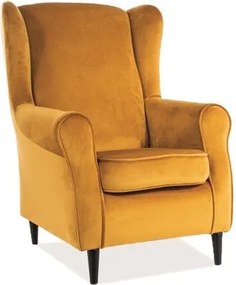Poltrona Baron in velluto curry - Blu68/wenge