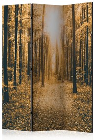 Paravento Luce Magica (3-parti) - paesaggio autunnale tra gli alberi