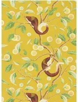 Harlequin Carta da parati Nellie - Honey/ Meadow