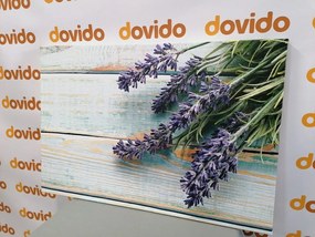 Stampa su tela – Lavanda su sfondo di legno