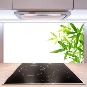 Pannello cucina paraschizzi Foglie di piante naturali 100x50 cm