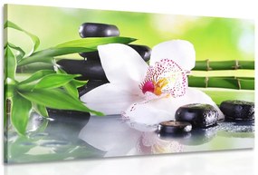 Quadro su tela – Orchidea giapponese