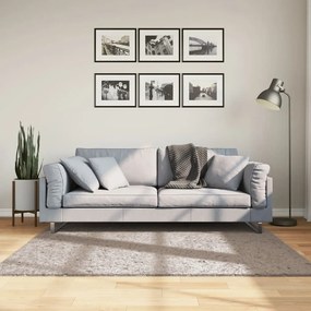 Tappeto Shaggy Pamplona A Pelo Lungo Moderno Beige 160x160 Cm /