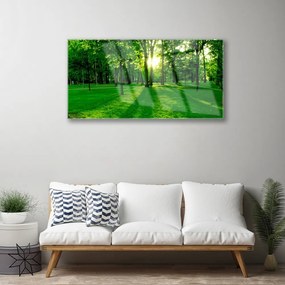 Quadro acrilico Parco Naturale della Foresta 100x50 cm