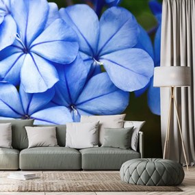 Carta da parati – Fiori selvatici blu
