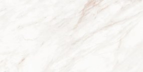 Mexen Forever Grigio campione di gres smaltato rettificato G1, piastrella per pavimento e parete, lucida - TL139-00-S