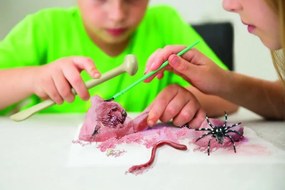 Scavi degli orrori - Insetti