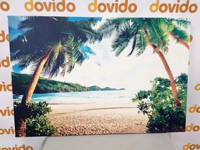 Quadro su tela – Tramonto sull'isola delle Seychelles