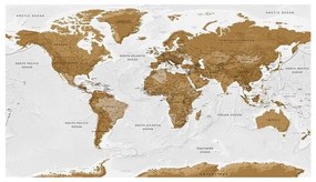 Fotomurale adesivo World Map: White Oceans II
