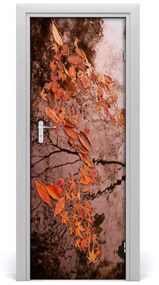 Adesivo per porta Foglie d'autunno 95x205 cm