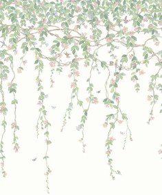 Cole & Son Carta da parati Hummingbirds Flora - Blush Sage/  Mulberry on Cream