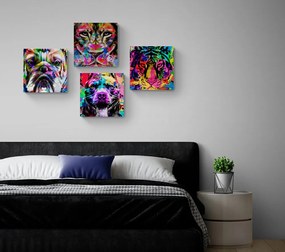 Set di quadri – In interessante stile pop art