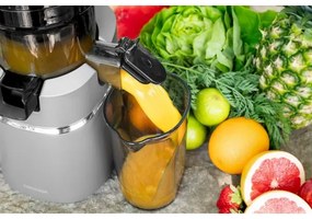 Concept LO7120 - Spremiagrumi lento JUICY 250W/230V grigio