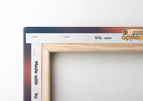 Quadro su tela – Margherite rosa delicate
