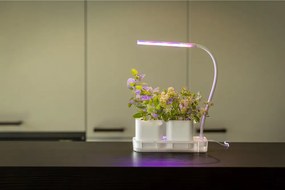 Grow room in metallo Lamp - Esschert Design
