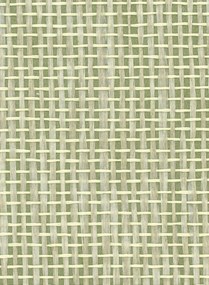 Osborne & Little Carta da parati Papyrus - Olive