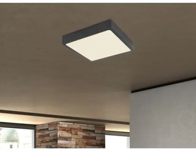 Globo 12369-30 - Plafoniera LED ECHO LED/28W/230V