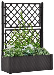 Letto Rialzato Da Giardino Graticcio E Irrigazione Antracite /