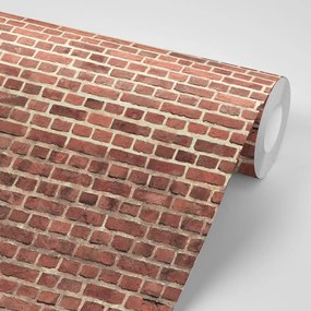 Carta da parati – Muro di mattoni