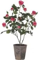 Mini Rose Artificiali in Vaso Altezza 69 cm Rosa