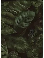 Rebel Walls Tapete Cameroon - Fern