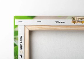 Quadro su tela – Quadrifogli verdi