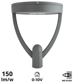 Lampione Stradale 65W, Dual Gray,1-10V, Programmabile,driver Philips Colore  Bianco Caldo 2.700K