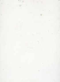 Terrastone rustique - 10 kg - KB7 - Edelweiß - 10 kg