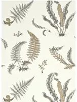 GP & J Baker Carta da parati Ferns - Dove Grey/ Silver