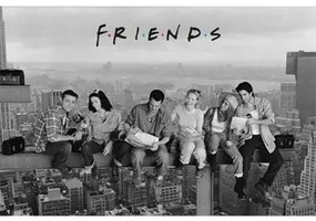 Friends  Poster BS3481  Friends