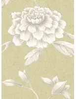 Lewis & Wood Carta da parati Jasper Peony - Beech