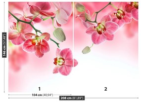 Carta da parati Orchidee tropicali 104x70 cm