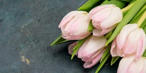 Stampa su tela – Tulipani rosa pastello