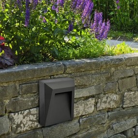 Illuminazione scale LED da esterno HOLDEN LED/1W/230V IP65 antracite