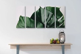 Quadri 5 pezzi – Foglia di monstera