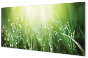 Pannello paraschizzi cucina Gocce di erba solare 100x50 cm