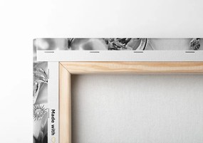 Stampa su tela – Gioielli floreali di lusso in bianco e nero