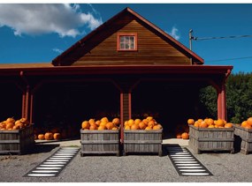 Passatoia da interno/esterno nera 70x300 cm Ella Black – Pappelina