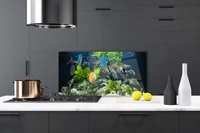 Pannello cucina paraschizzi Pesce d'acquario naturale 100x50 cm