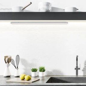 Rabalux 78010 - Lampada LED sottopensile BAREG LED/16W/230V 3000/4000K bianco