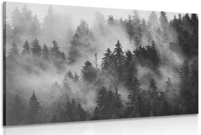 Stampa su tela – Montagne nella nebbia in bianco e nero
