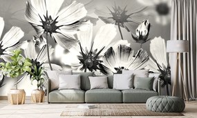 Carta da parati – Fiori in bianco e nero